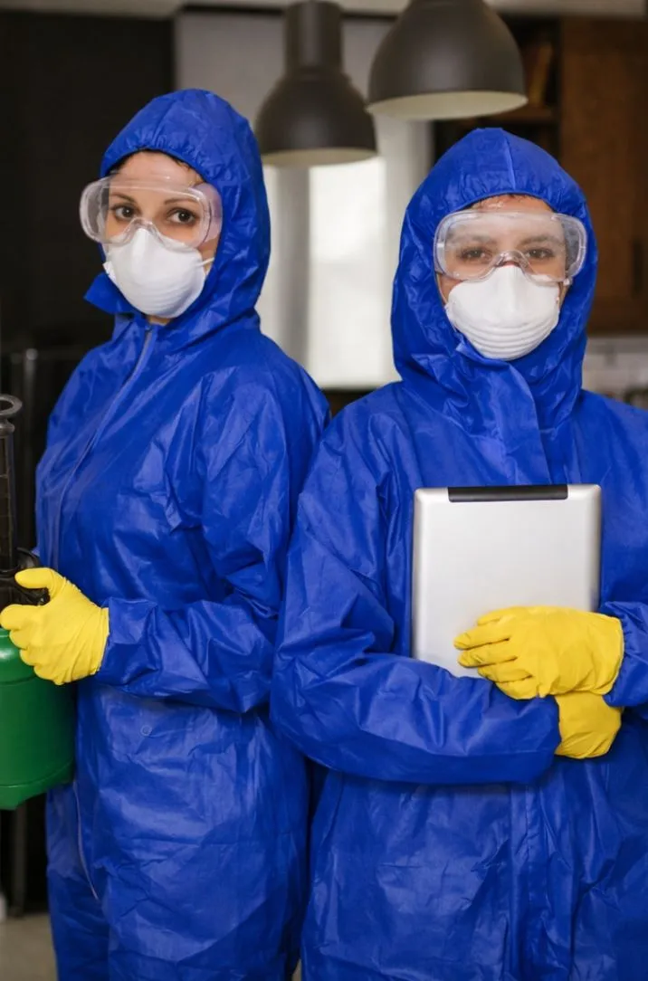 Professional mold remediation