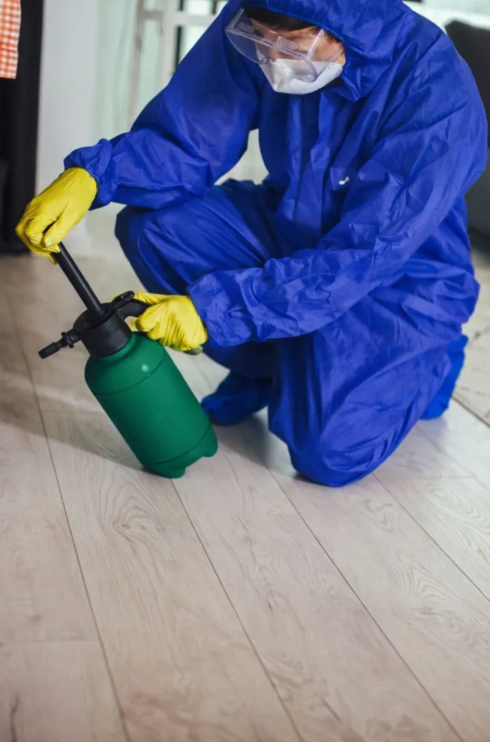 Exterior wall cleaning