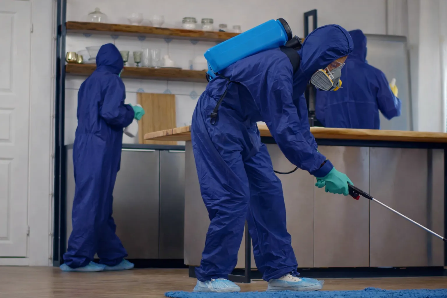 Professional commercial pest control and management for businesses and apartment complexes in Los Angeles by Bye Bye Bugs LA, ensuring pest-free environments for tenants and employees.