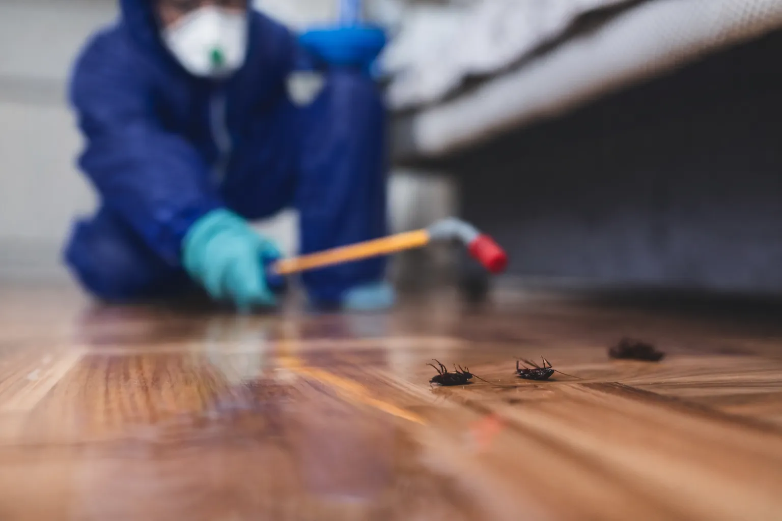 Certified pest control expert from Bye Bye Bugs LA performing a detailed indoor treatment in a Los Angeles home to ensure a pest-free environment.