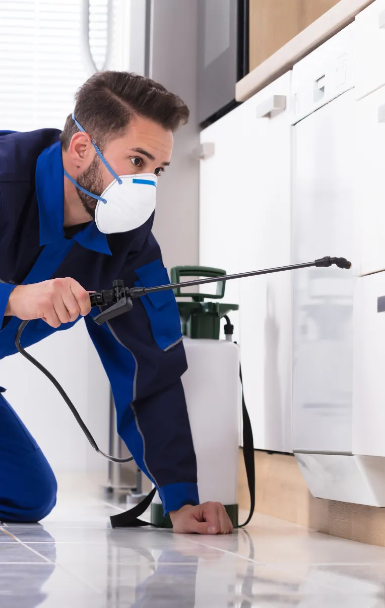 Bye Bye Bugs LA - Professional pest control exterminator illustration providing residential and commercial services in Los Angeles.