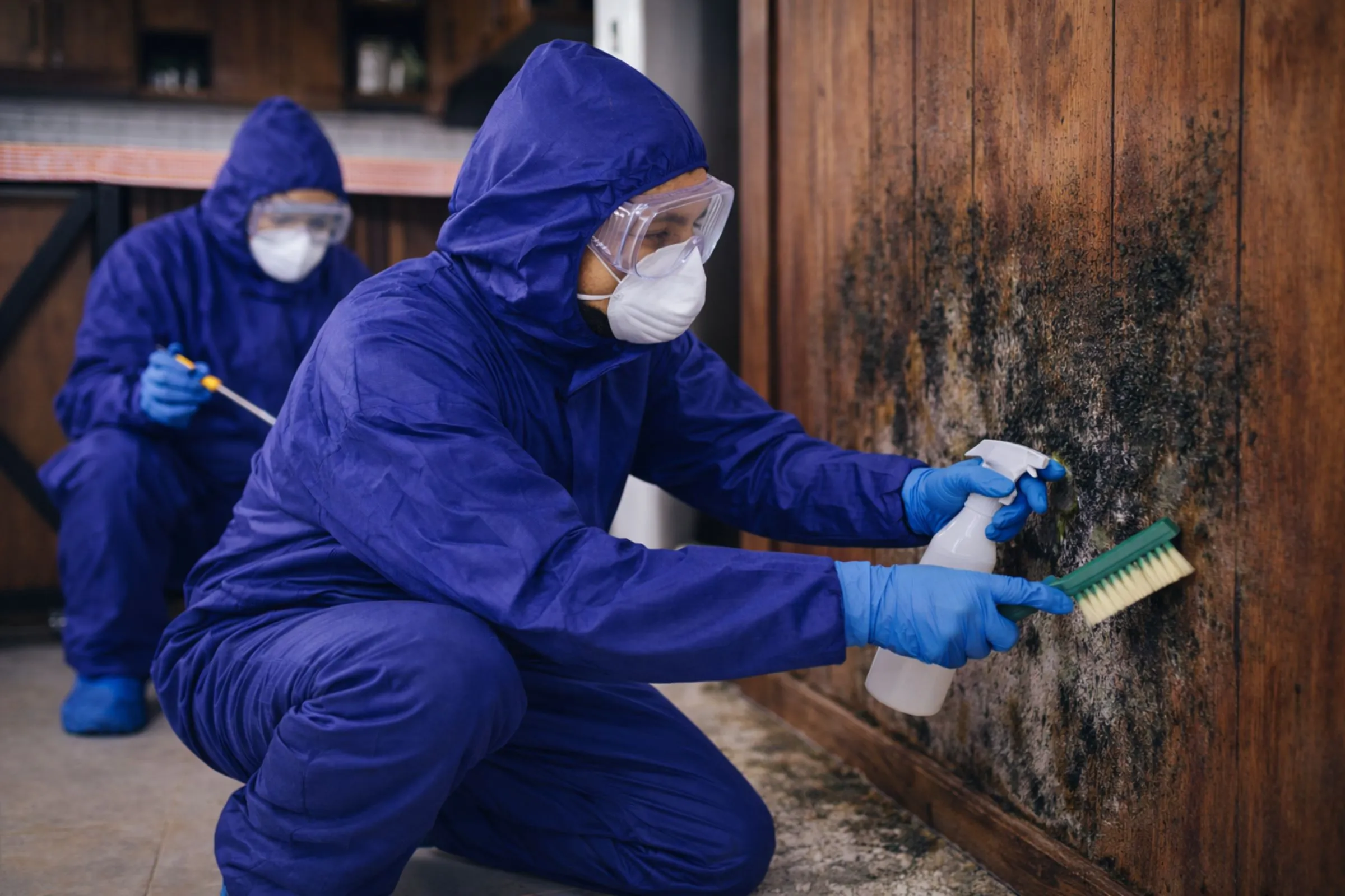 A professional technician cleaning mold from an attic ceiling to improve air quality and structural integrity.